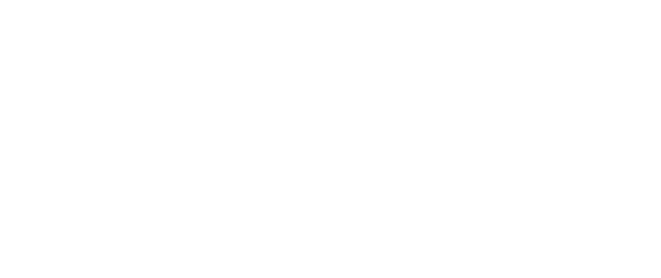 RitzSChA
